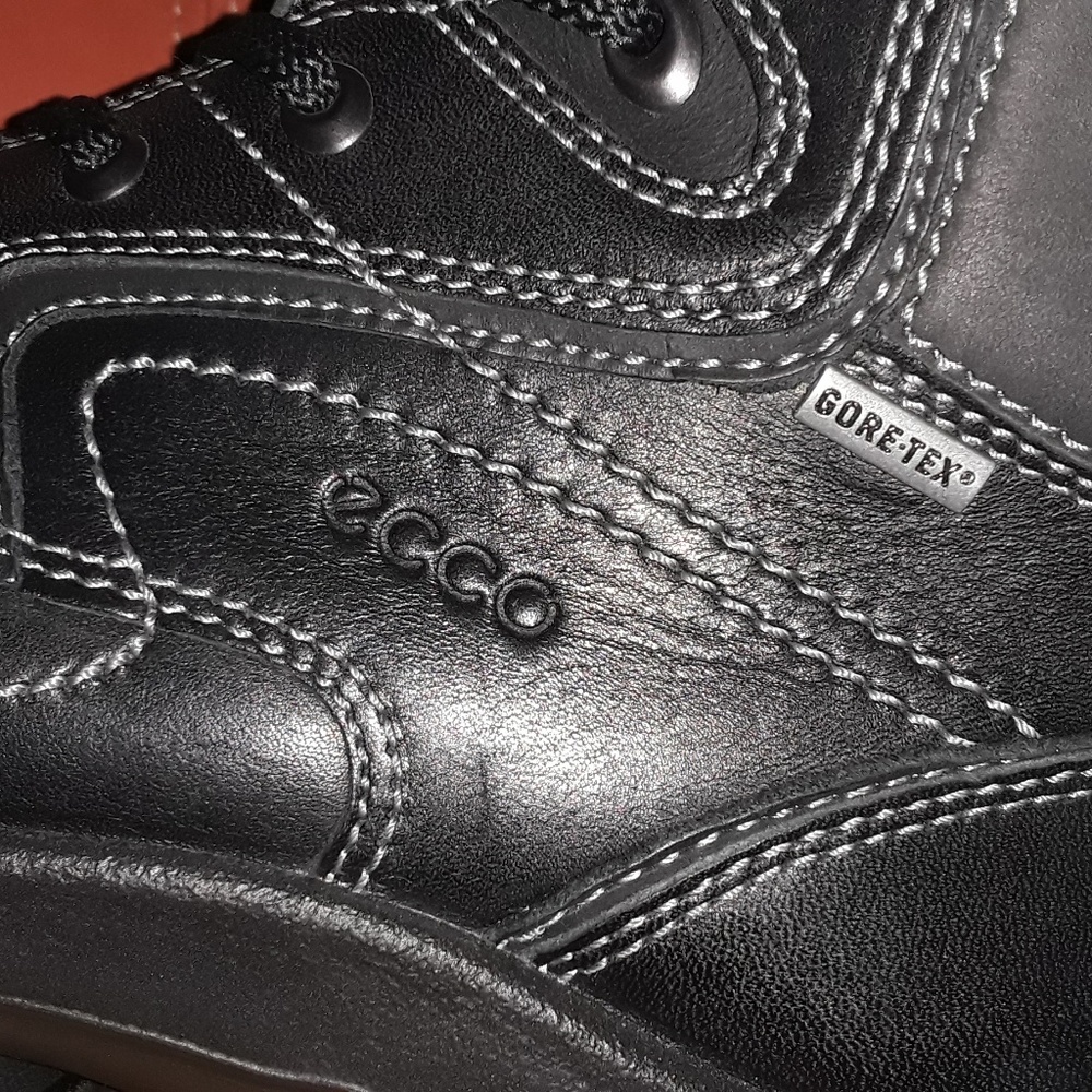 MEN'S ECCO GORE-TEX GTX Boots